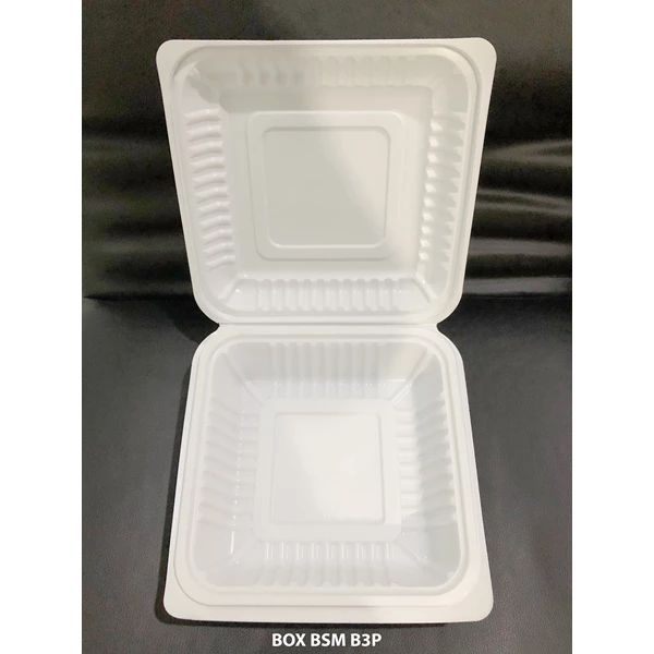 Food Takeaway Plastic