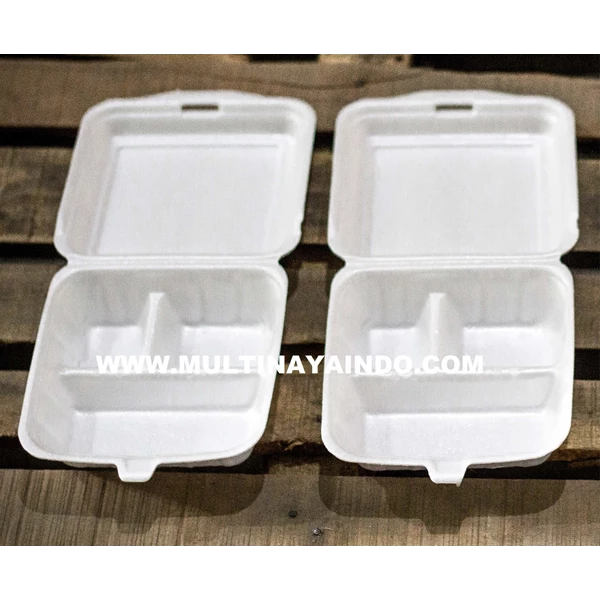 Styrofoam Lunch Box with partition